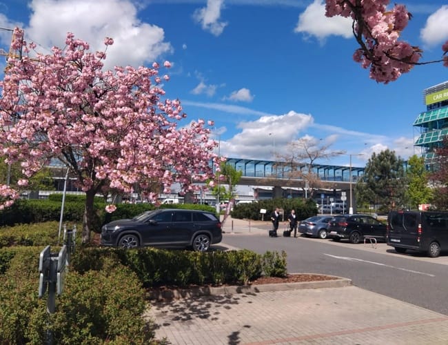 PRG Parking - lotnisko Praga Václava Havla (PRG) - zdjęcie 5