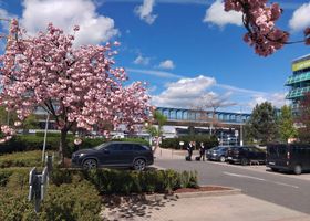 Zdjęcie parkingu PRG Parking - lotnisko Praga Václava Havla (PRG) przy lotnisku