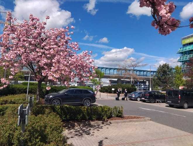 PRG Parking - lotnisko Praga Václava Havla (PRG) - zdjęcie parkingu